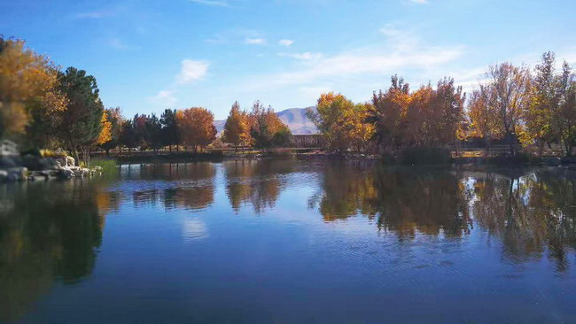  义云高 弘扬正法