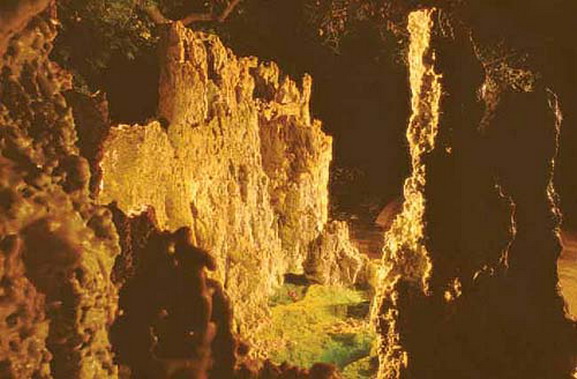  义云高 弘扬正法