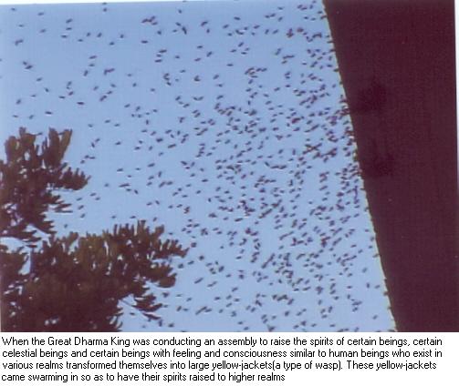  义云高 弘扬正法