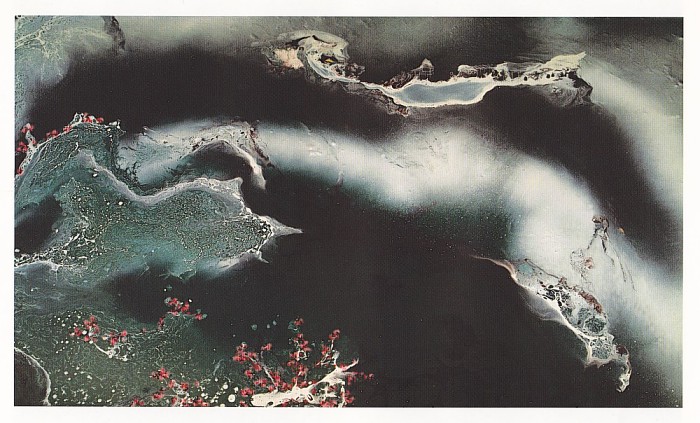 第三世多杰羌佛工巧明展显之 西画 义云高 弘扬正法