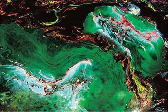 第三世多杰羌佛工巧明展显之 西画 义云高 弘扬正法