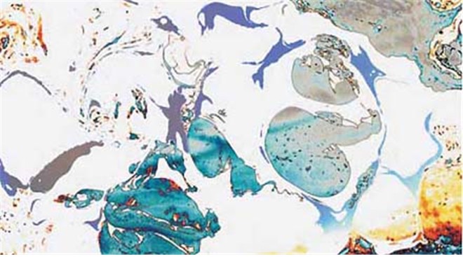 第三世多杰羌佛工巧明展显之 西画 义云高 弘扬正法