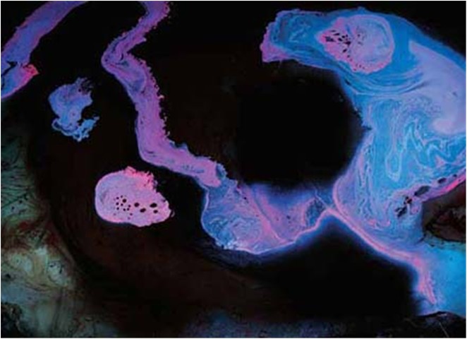 第三世多杰羌佛工巧明展显之 西画 义云高 弘扬正法