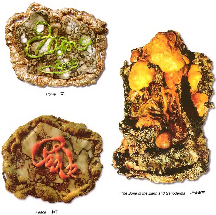  义云高 弘扬正法