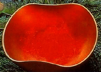 真正的甘露是来自佛国的圣食 义云高 弘扬正法