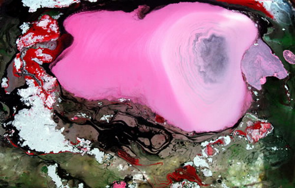 第三世多杰羌工巧明展显之 科技艺术 义云高 弘扬正法