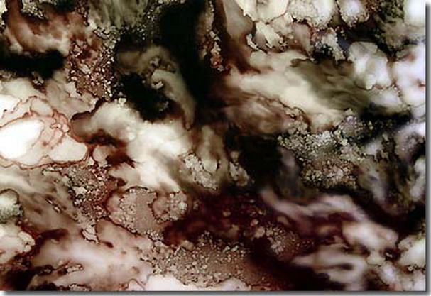  义云高 弘扬正法