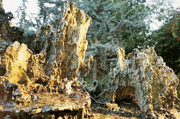  义云高 弘扬正法