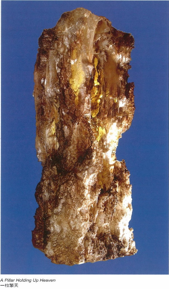  义云高 弘扬正法