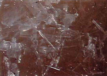 真正的甘露是来自佛国的圣食 义云高 弘扬正法