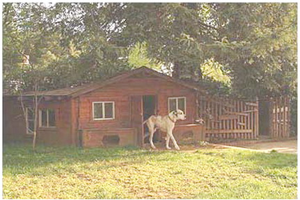 第三世多杰羌佛五明成就 工巧明之建筑庭园风景 义云高 弘扬正法