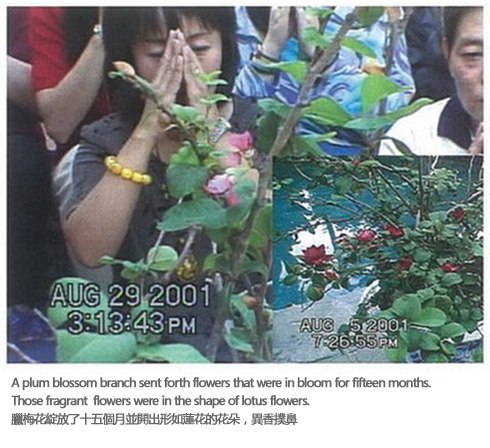  义云高 弘扬正法