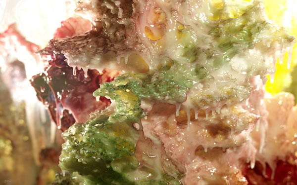 第三世多杰羌工巧明展显之 科技艺术 义云高 弘扬正法