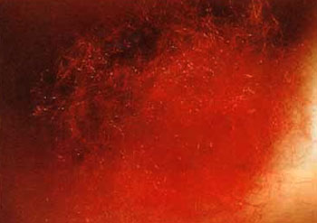 真正的甘露是来自佛国的圣食 义云高 弘扬正法