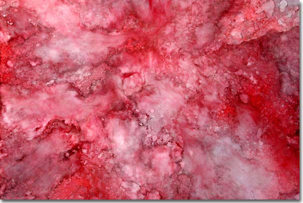  义云高 弘扬正法