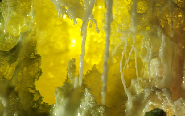 第三世多杰羌工巧明展显之 科技艺术 义云高 弘扬正法