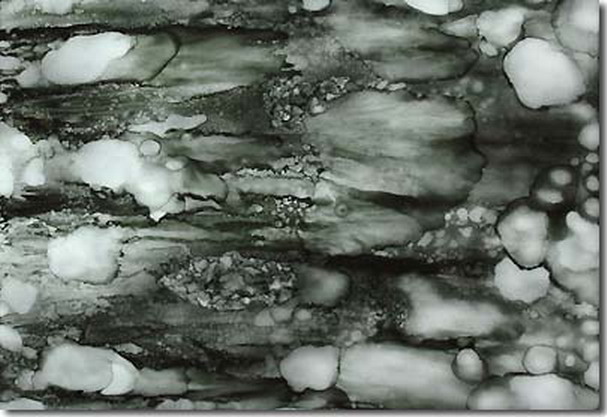  义云高 弘扬正法