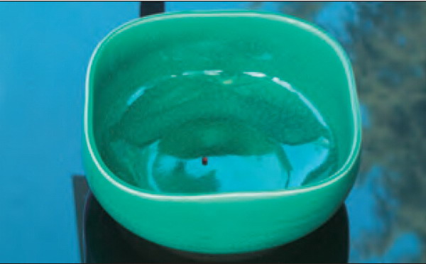 禄东赞法王修金刚换体禅令神识出体取物 义云高 弘扬正法