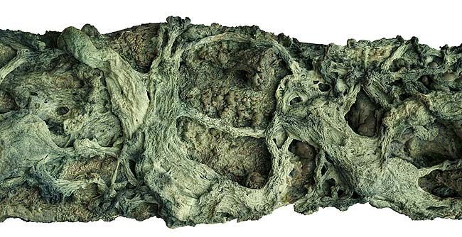 第三世多杰羌佛五明成就 工巧明之枯藤古化 义云高 弘扬正法