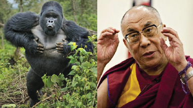  义云高 弘扬正法