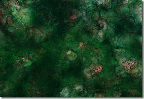  义云高 弘扬正法