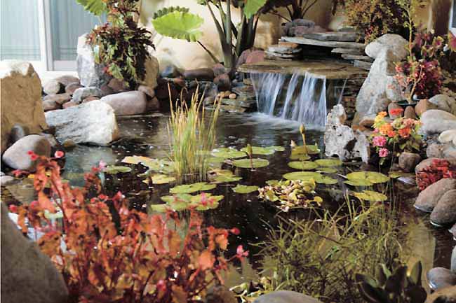  义云高 弘扬正法