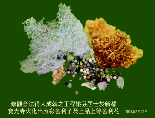 王程娥芬居士及丈夫王灵泽居士学到真正的佛法得大成就 义云高 弘扬正法