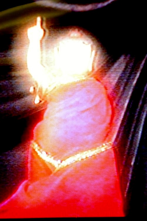 王程娥芬居士及丈夫王灵泽居士学到真正的佛法得大成就 义云高 弘扬正法