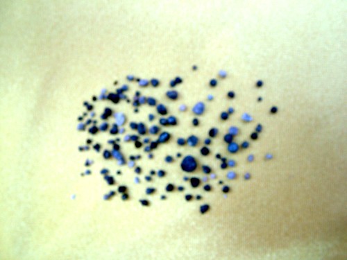 多杰洛桑法王法驾佛土 金刚体燃烧六小时 出舍利141粒 义云高 弘扬正法