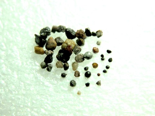 卢全芳居士证道 阿弥陀佛接走 舍利坚固子49粒 义云高 弘扬正法