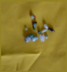 王程娥芬居士及丈夫王灵泽居士学到真正的佛法得大成就 义云高 弘扬正法