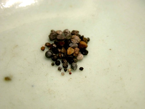 卢全芳居士证道 阿弥陀佛接走 舍利坚固子49粒 义云高 弘扬正法