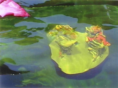 胜义浴佛法会 七支圣境眼前现 证量取水真浴佛 义云高 弘扬正法