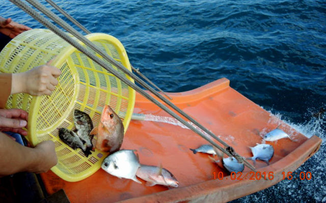  义云高 弘扬正法