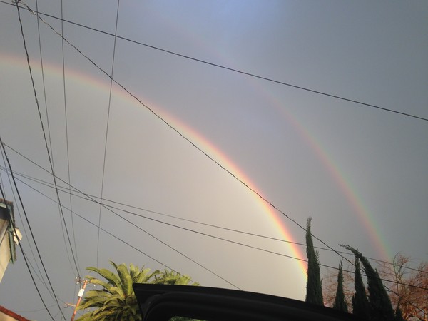  义云高 弘扬正法