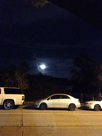  义云高 弘扬正法