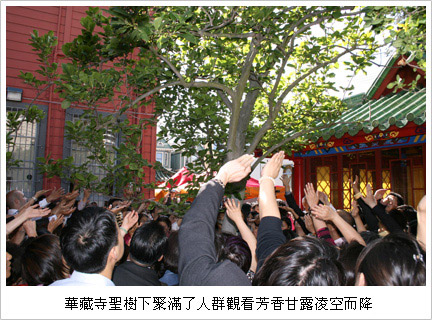  义云高 弘扬正法