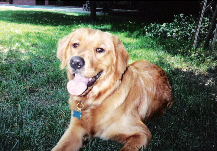  义云高 弘扬正法