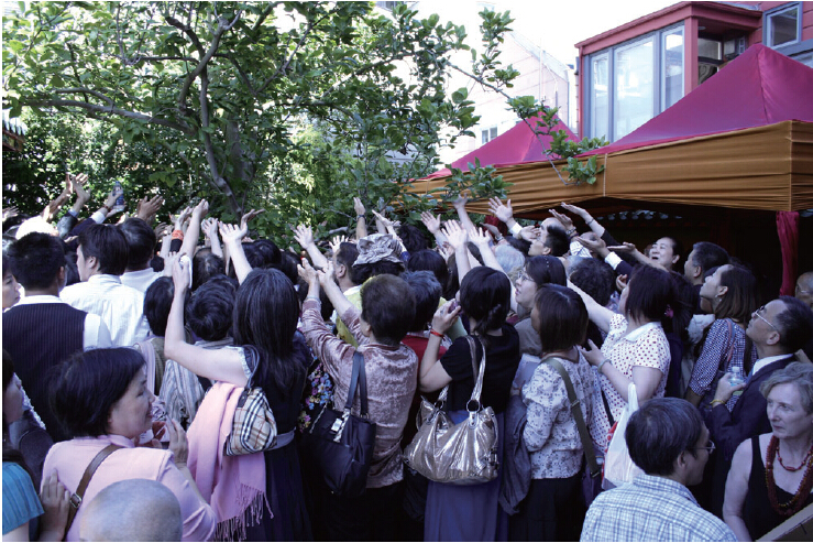 《揭开真相》(二十) 一书入寺木棉惊 神奇难测功绝顶 义云高 弘扬正法