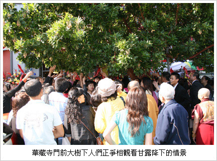  义云高 弘扬正法