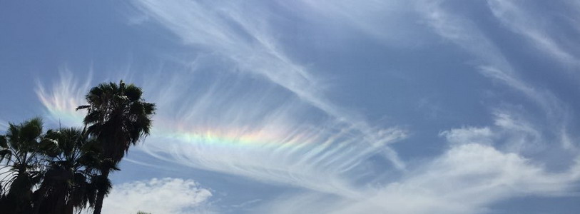  义云高 弘扬正法