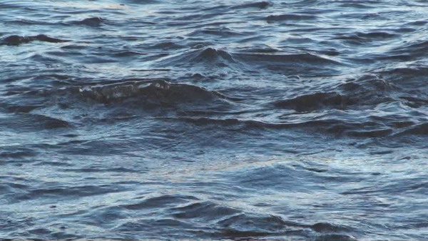  义云高 弘扬正法