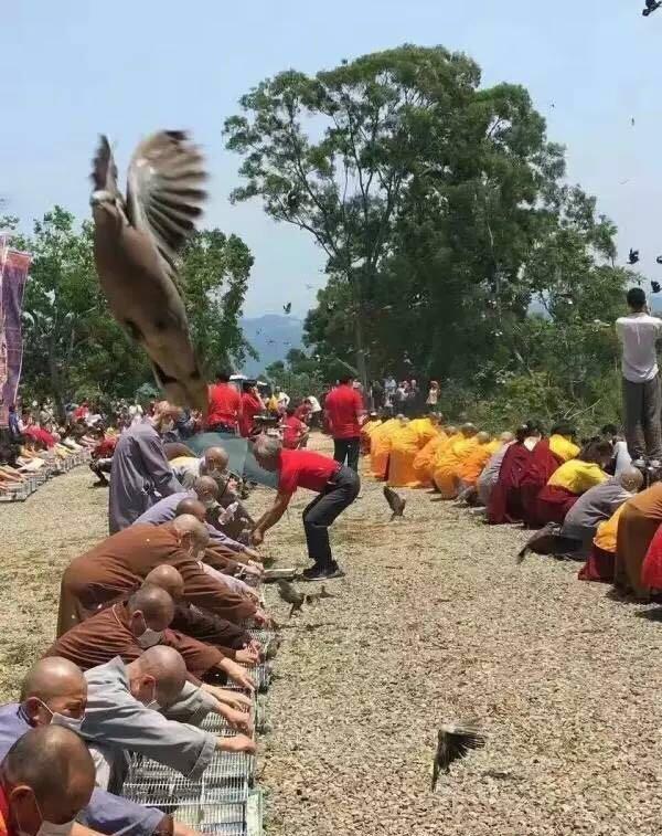  义云高 弘扬正法