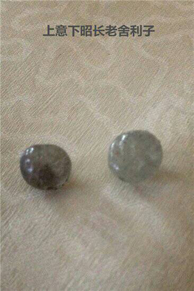 意昭老和尚 当代禅门泰斗 义云高 弘扬正法