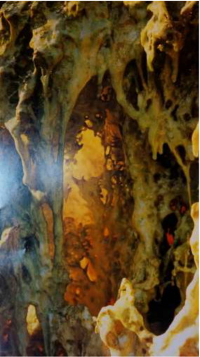  义云高 弘扬正法