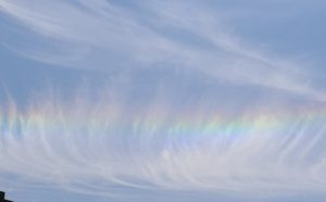  义云高 弘扬正法