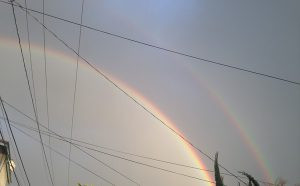  义云高 弘扬正法