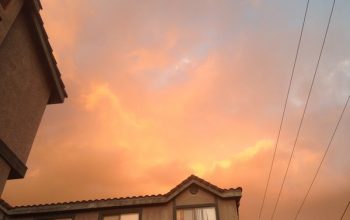  义云高 弘扬正法